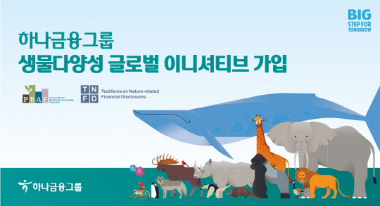 하나금융 제공.